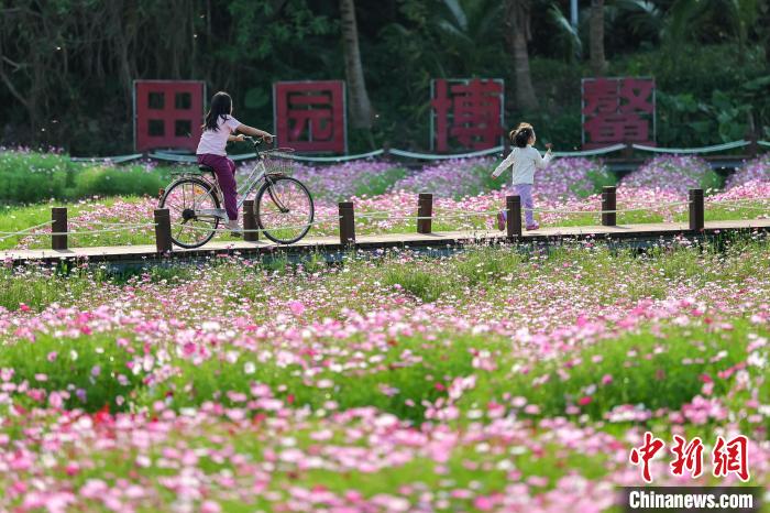 （聚焦博鳌）“国际会客厅”博鳌：面朝大海春暖花开