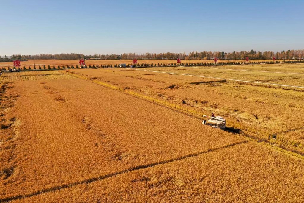 微信图片_20220309104447