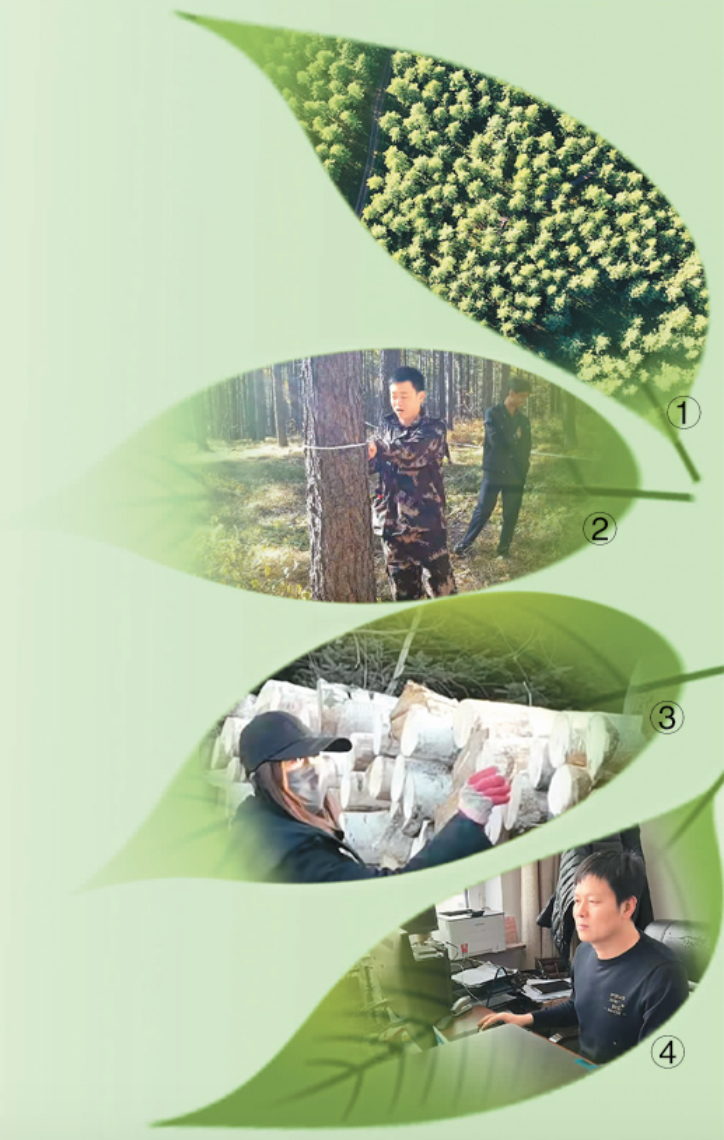 屏幕快照 2022-04-08 下午2