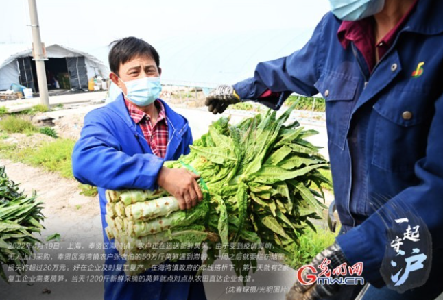 屏幕快照 2022-04-22 上午11