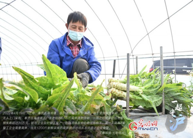 屏幕快照 2022-04-22 上午11