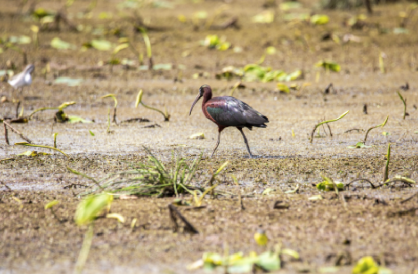 屏幕快照 2022-05-20 下午1
