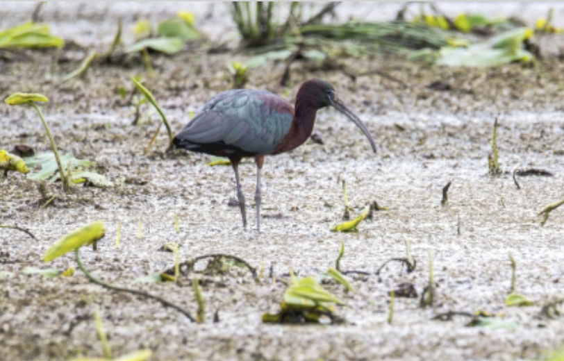屏幕快照 2022-05-20 下午1