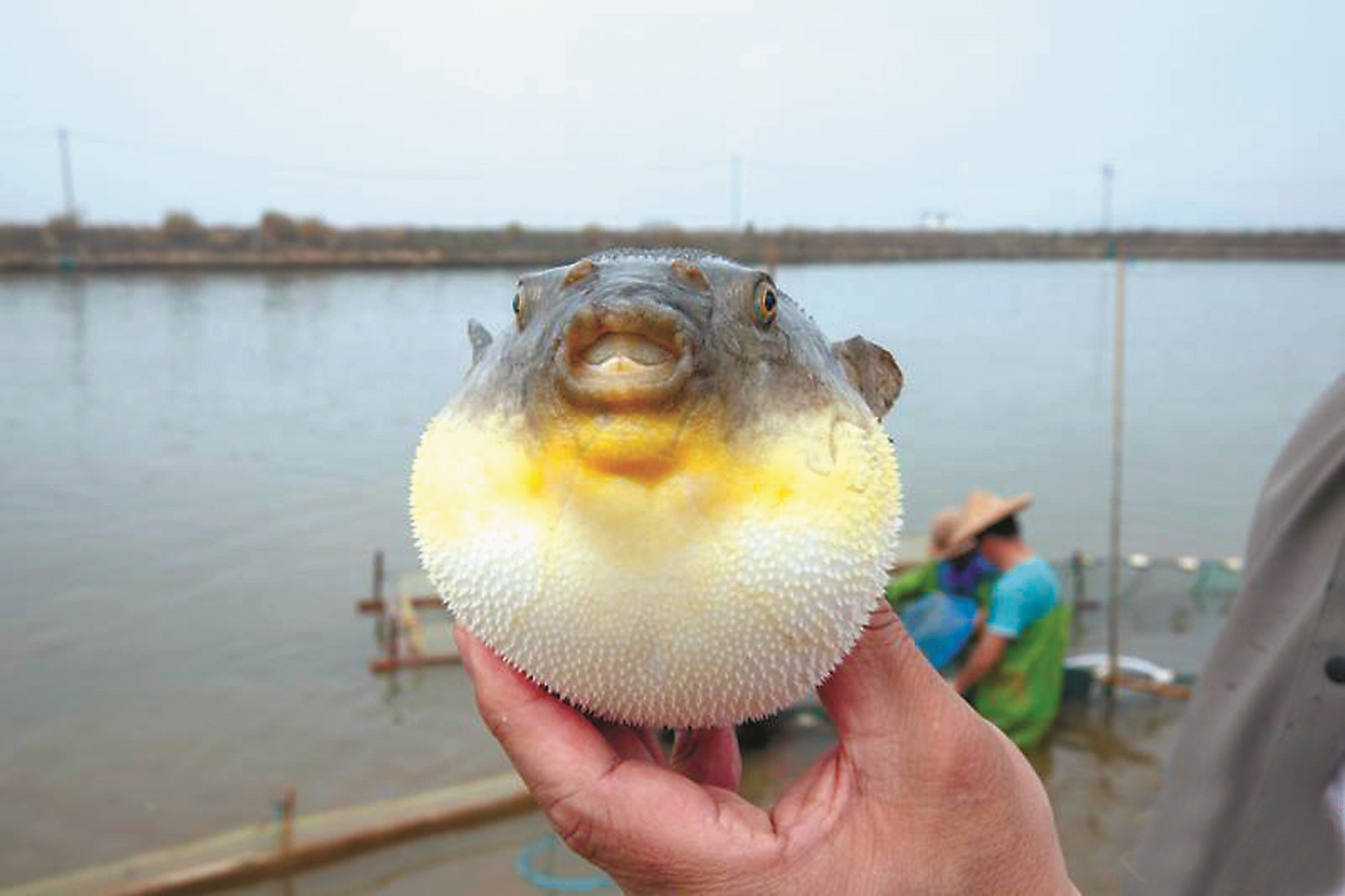 b5cc01c71ceecc67b4b57133c2200cd