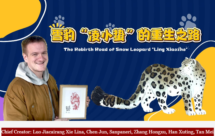 The Rebirth Road of Snow Leopard "Ling Xiaozhe"