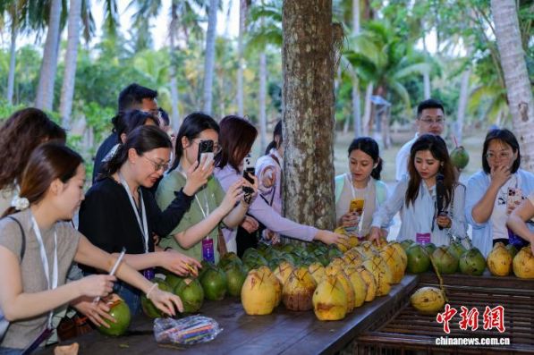 开局之年看中国·开放自贸港：当“椰子之乡”牵手“沙漠面包”