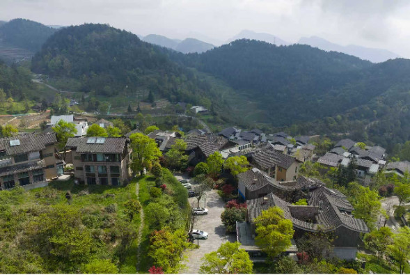 行走中国 侨见重庆：武隆区归原小镇——在云雾田园间，看见乡村振兴的生动答案