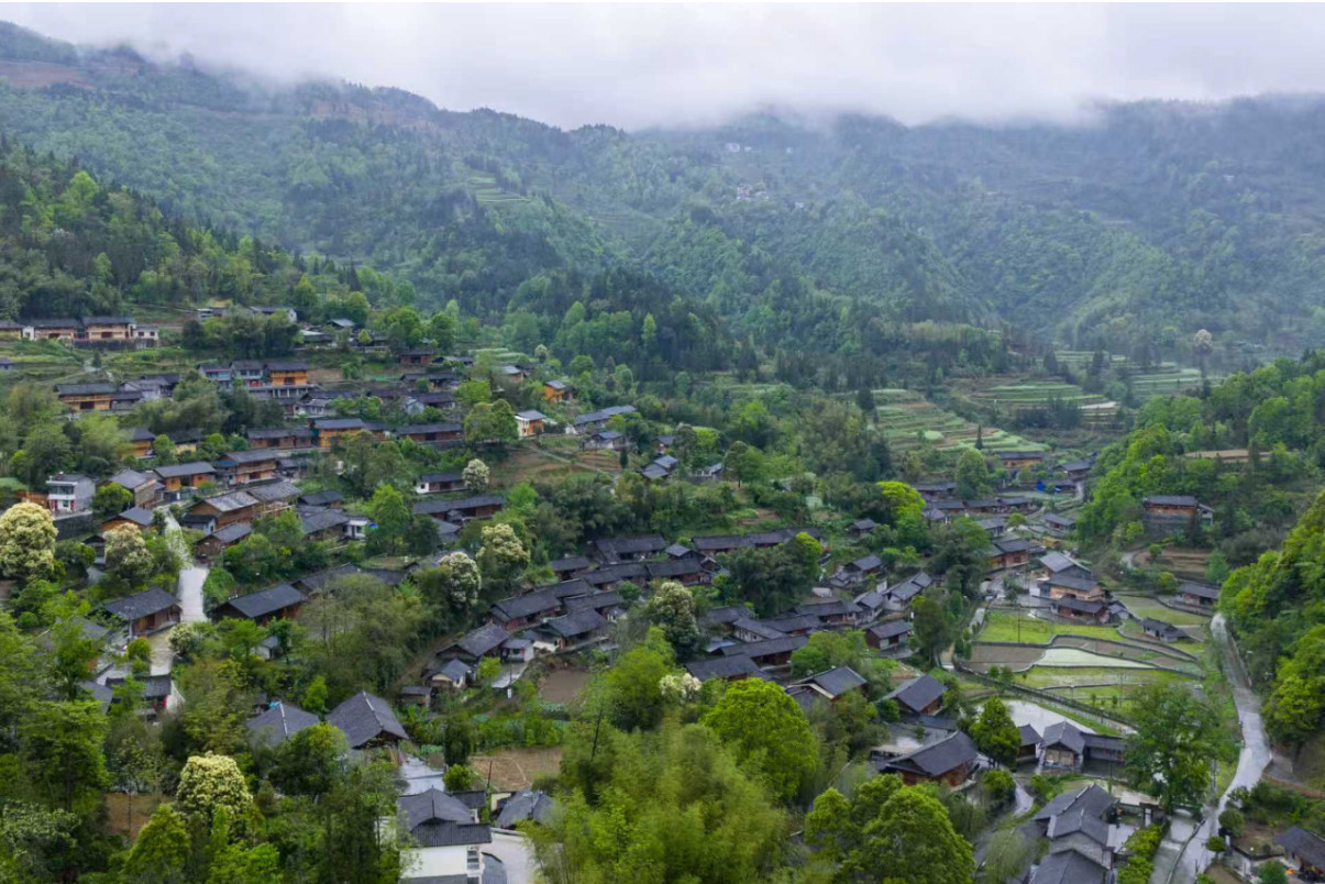 行走中国·侨见重庆：古寨新生，侨音传响