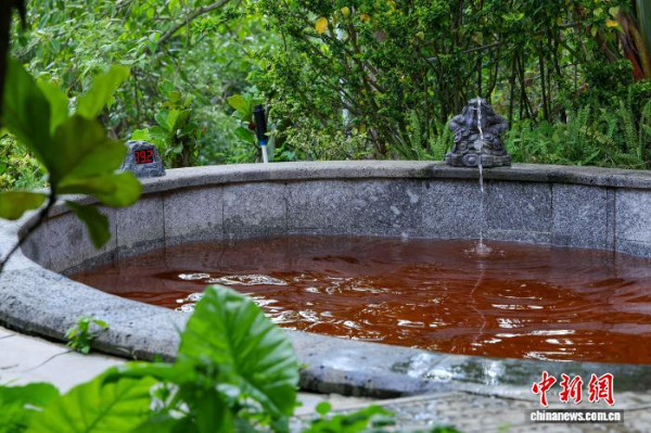 何以中国·行走陵水：俄罗斯游客为何钟情来此泡温泉？ 