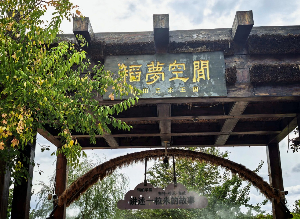 追梦中华·侨见辽宁行｜走进沈阳稻梦空间：黑土绘彩稻，田园筑振兴之梦