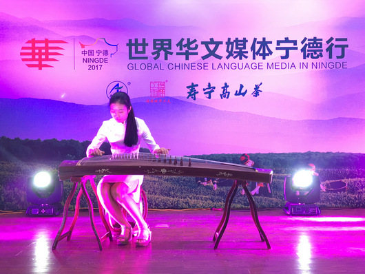 寿宁茶香浓——17“全球华文媒体高层宁德行”系