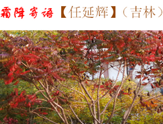 任延辉（吉林）：霜降寄语