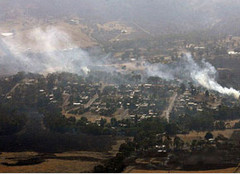 新州华人华侨赈济山林火灾晚会