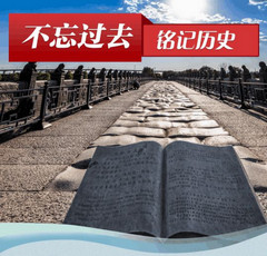 铭记历史 奋勇向前