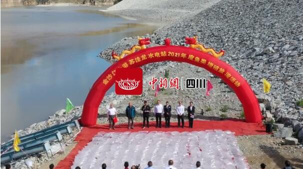 再放流25万尾！华电苏洼龙电站累计放流176万尾鱼