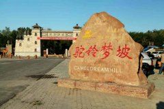 新兵团八师创造驼铃梦坡人间奇迹