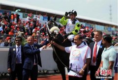 “成都·迪拜国际杯”五年吸引近万赛马爱好者观