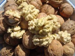 循化：黄河上游瓜果之乡