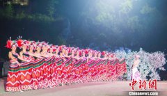 海外华媒感受土苗文化