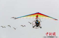 11个重大项目落户武汉