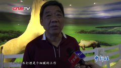 视频：军运会赛马幸福