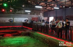 外媒记者品味江西酒文化