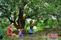 四川盐源将举行首届核桃节