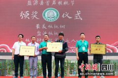 核桃产业助推盐源脱贫攻坚