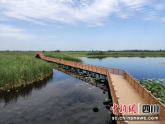 两大新区描摹未来城市建设“绿色生态”样本