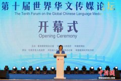 沈跃跃出席华媒论坛开幕式并致辞