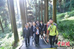 海外华文媒体走进四川都江堰