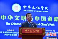 潘岳：中国道路打破“历史终结论”等四种论点