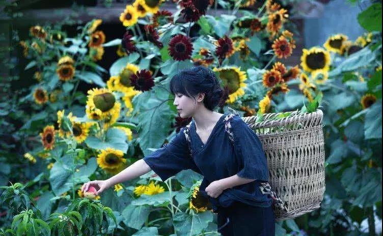 1576129195286553.jpg 微信图片_20191212133943.jpg