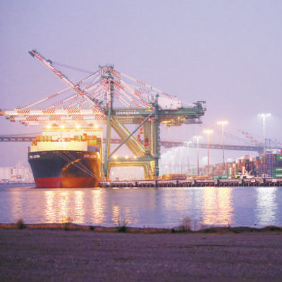 1577670501269601.jpg 10.jpg