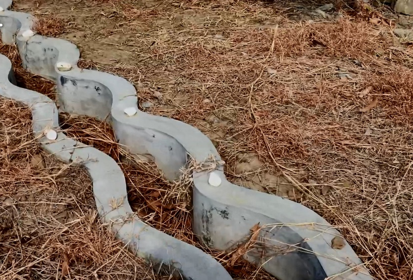 1578354283595885.png 1578354283595885.png