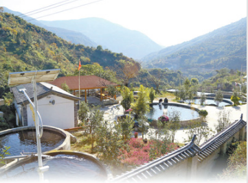 1578446060379438.png image.png