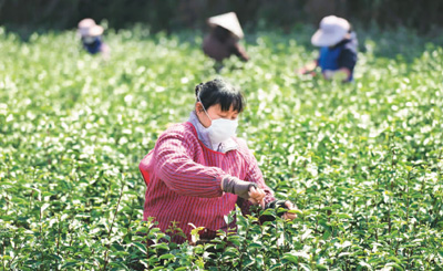 1581973009736386.jpg 1581968829132_1.jpg