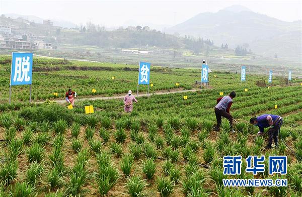 1582892159317228.jpg 66666.jpg