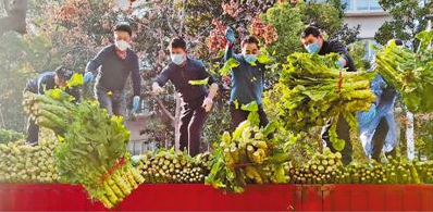 1583455567920033.png image.png