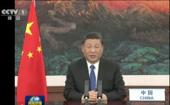 习近平世卫大会致辞促世界再聚抗疫合力