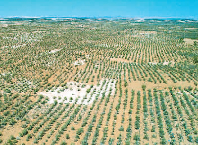 1592944979955242.jpg 1592940191088_1.jpg