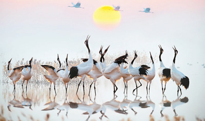 1593116464895388.jpg 1593112991250_1.jpg