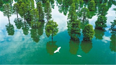 1593117342723494.jpg rmrbhwb2020062612p32_b.jpg