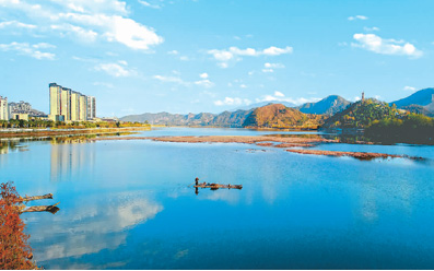 1596663703969949.png image.png