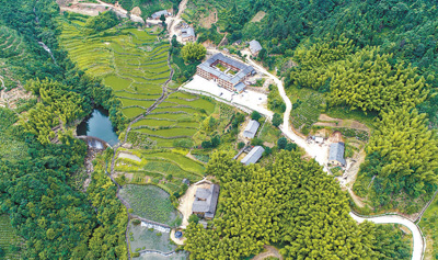 1596679130126000.jpg 1596653774100_1.jpg