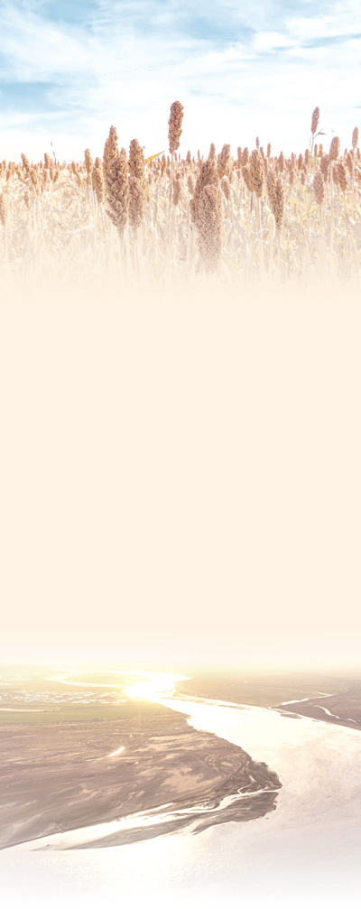 1597714000157882.jpg 1597690291287_1.jpg