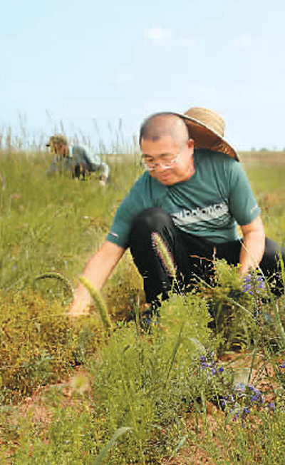 1598473969577030.jpg 1598465128548_1.jpg