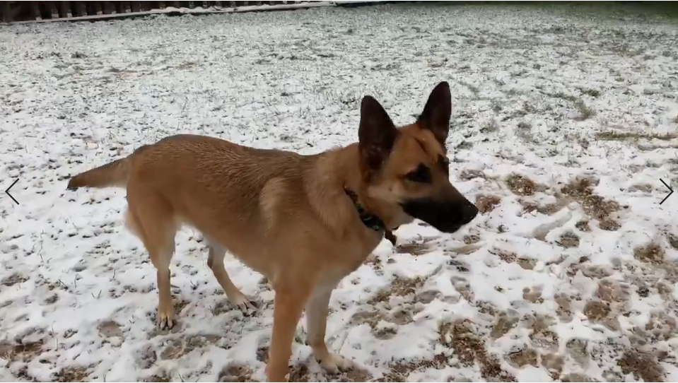 1599618999770154.png image.png