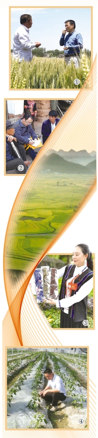 1599701625772153.jpg rmrb2020091018p44_b.jpg