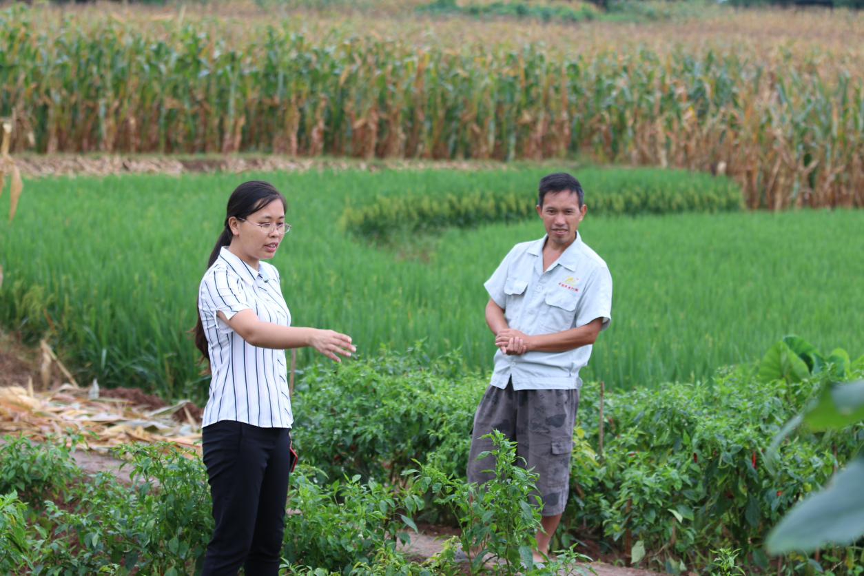 1599791529633523.png 图片9.png